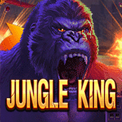 img()